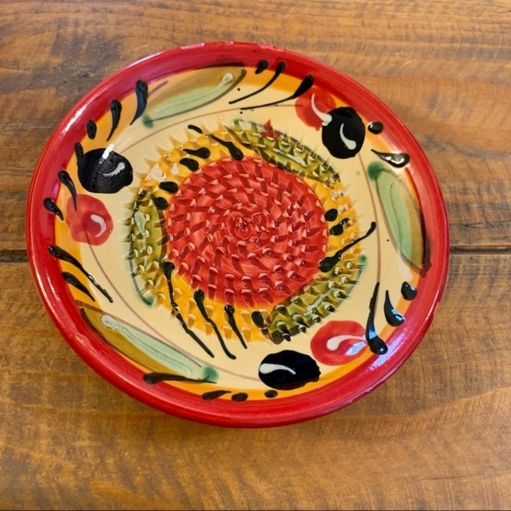 Pier 1 Imports Ceramic Hand Painted Garlic Grater